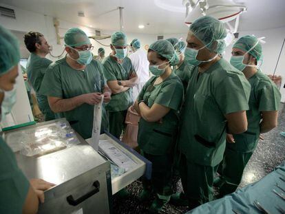 El equipo de trasplantes del hospital Virgen de las Nieves de Granada. 