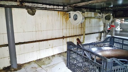 Fotograma d'un vídeo en què es veu l'estat de la cuina d'un bar inspeccionat per la Guàrdia Urbana.