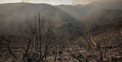 Terreno calcinado en Bejís (Castellón), incendio que ha arrasado cerca de 20.000 hectáreas.