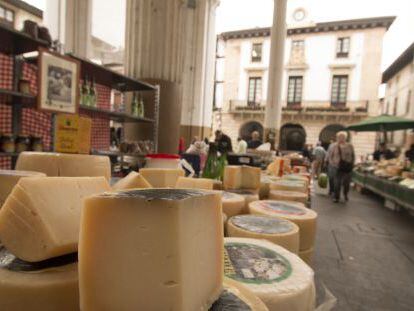 Quesos en el mercado de Ordizia, en Guip&uacute;zcoa. 