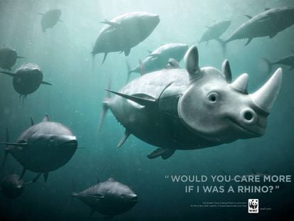 Campaña de la ONG WWF contra la pesca ilegal: "¿Te preocuparías más si yo fuese un rinoceronte?".