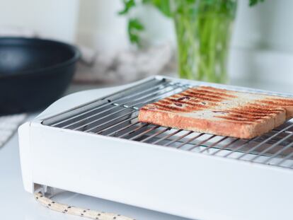 Cómo elegir una buena plancha para asar verduras, pescados o carnes y cinco  modelos muy prácticos para todos los bolsillos