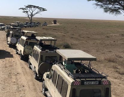 Caravana de casi una veintena de vehículos en Serengeti esperando para fotografiar un guepardo, septiembre 2018.