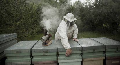 Rafel Muria, un apicultor.