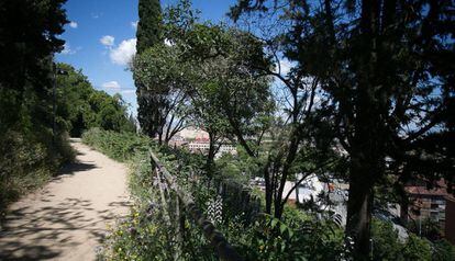 El terraplén de los jardines de Miramar por donde cayó el supuesto ladrón.