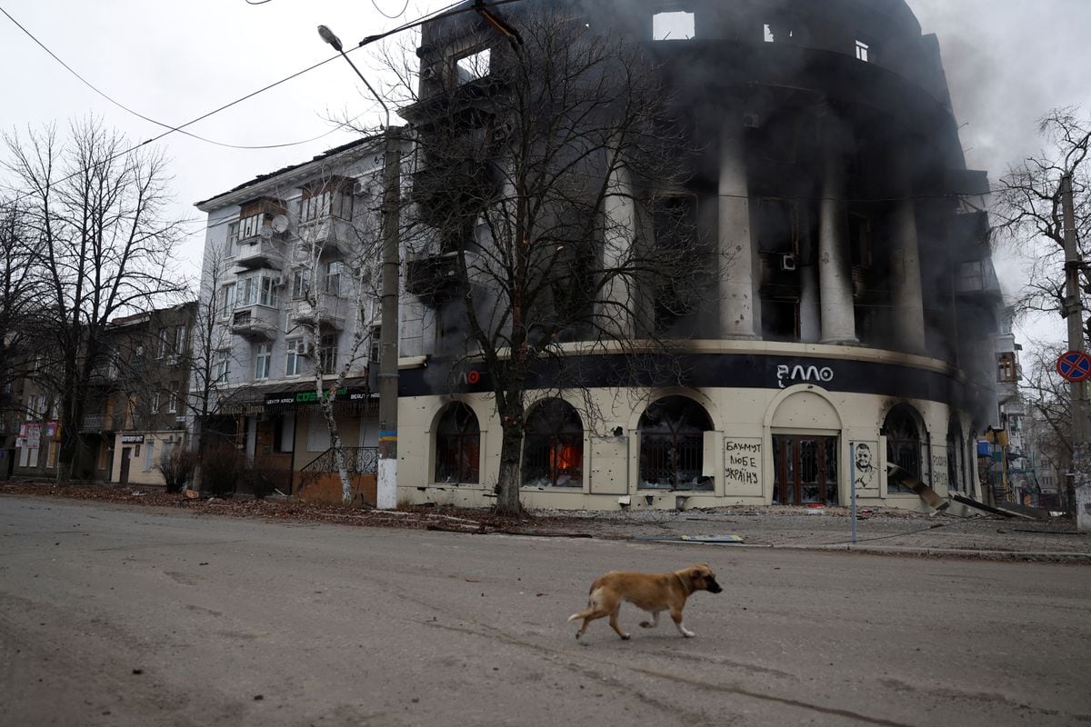 Guerra tra Ucraina e Russia: Ultime notizie in diretta |  Zelensky ammette che la situazione nel Donbas è “difficile” per i soldati |  Internazionale