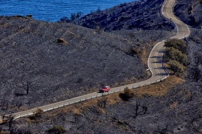 Un automóvil circula por la carretera que discurre por la zona que ha ardido en el incendio del parque natural de Cap de Creus (Girona)