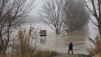 3/11/2021 - zaragoza - En la imagen el río Ebro a su paso por la localidad de Alagon. Foto: Massimiliano Minocri