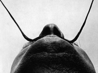 Los bigotes de Salvador Dalí, sin duda alguna los más famosos de la Historia del Arte, fotografiados por Philippe Halsman.