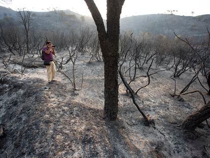 Zona quemada en el incendio forestal en la Sierra Bermeja, este viernes.