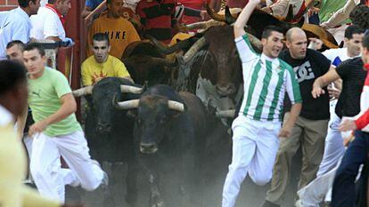 Los primeros corredores entran en la plaza de toros en el último encierro, ayer, de las fiestas de San Sebastián de los Reyes.