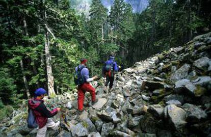 Excursionistas en el parque nacional de Shei-Pa, en Taiwán.