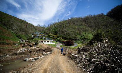 Un hombre camina hacia su casa entre la destrucci&oacute;n provocada por le hurac&aacute;n &#039;Irma&#039; en Barranquitas, Puerto Rico. 