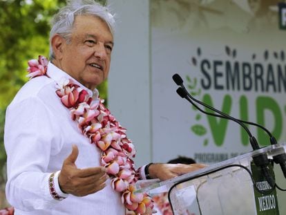 López Obrador, en un evento de Sembrando Vida en Oaxaca.