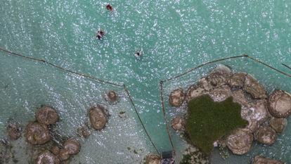 Vista aérea del balneario 'Cocalitos' en la laguna de Bacalar, donde se encuentran las estructuras minerales conocidas como estromatolitos.