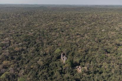 Río Bec colinda con la Reserva de la Biósfera de Calakmul, uno de los pulmones más importantes de México.