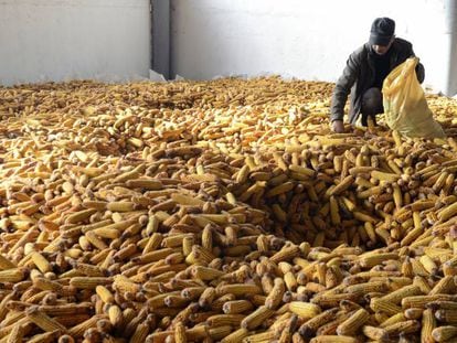 Almacenaje de maíz en Georgia.