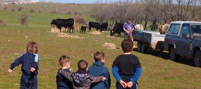 Un grupo de niños mira a un agricultor en Cabanillas del Monte (Segovia).