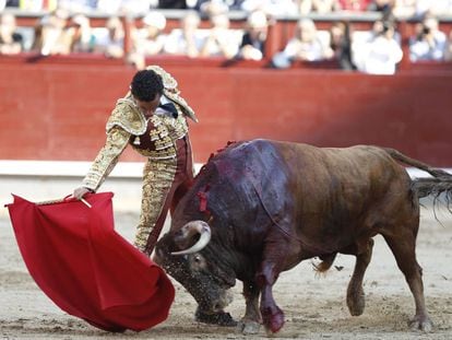 Joaquín Galdós, en una reciente actuación en Las Ventas.