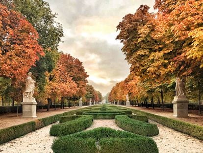 El paseo de Argentina en el parque del Retiro de Madrid en otoño.