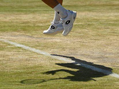 David Ferrer, en su partido contra Berdych.