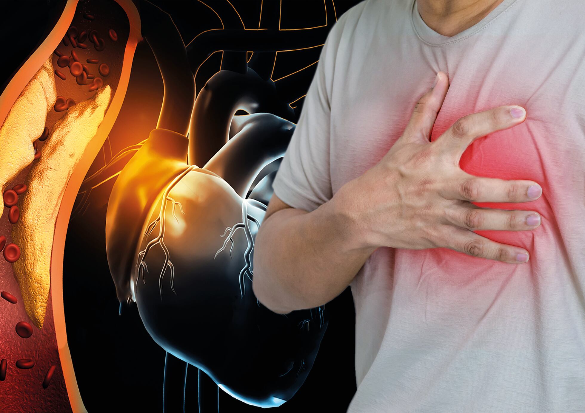 La prevención cardiovascular es el mejor seguro de salud | Sociedad ...