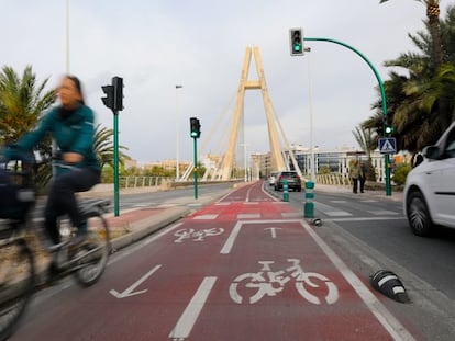 Un carril bici de Elche.