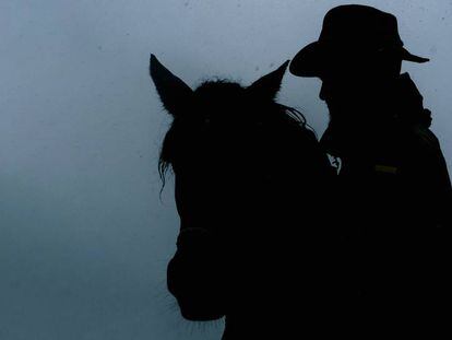 El rey de los mastines no tiene miedo a los lobos. Un ‘western’ español del siglo XXI