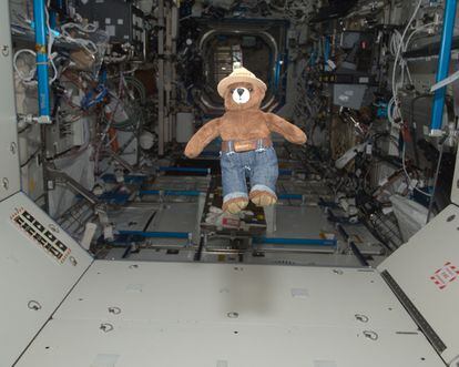 'Smokey Bear' teddy bear floats freely in the hatch of the Destiny laboratory on the International Space Station (ISS) in May 2012