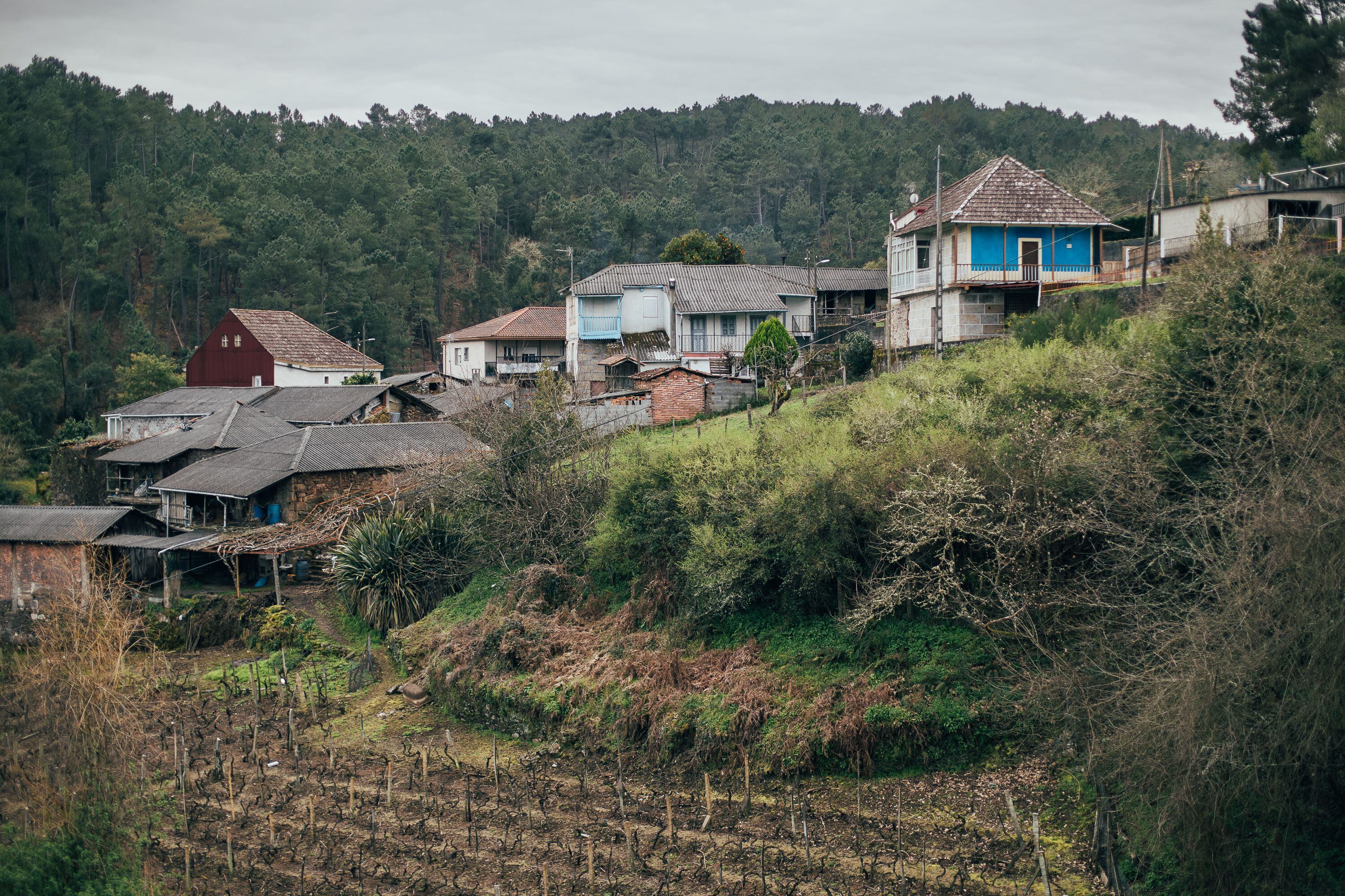 Vista de la aldea de Cobelas, en Castrelo de Miño, donde el aumento de población está siendo investigado por la Fiscalía.