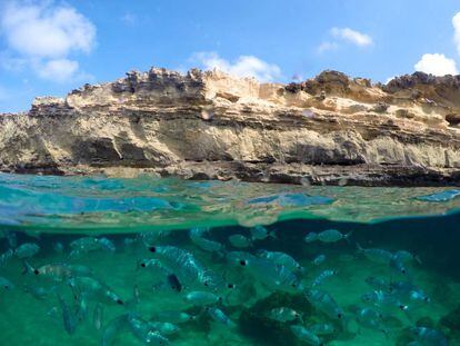 Aguas cristalinas y fondo marino de Formentera.