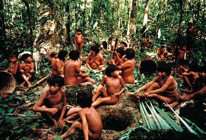 Grupo de indígenas yanomami en la selva en Demini, Brasil.