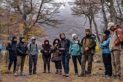Un grupo de visitantes atiende a la explicación de un guardaparques en la Reserva Nacional Pat Jeinimeni, en la región de Aysén.