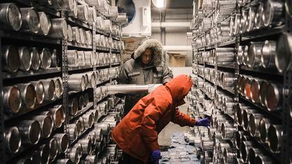 Lonnie Thompson y Ellen Mosley-Thompson extraen muestras de hielo en el el pabellón congelador del Byrd Polar and Climate Research Center de la Ohio State University en Columbus (Estados Unidos).