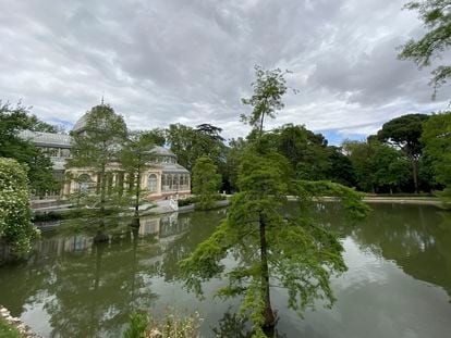 Estanque del Palacio de Cristal ubicado en los Jardines de El Buen Retiro.