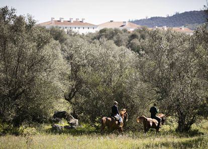 El proyecto de Eduardo Souto de Moura también está pensado para disfrutar de la naturaleza y realizar actividades al aire libre. Ofrecen a sus huéspedes bicicletas con las que moverse por la finca, y el proyecto del arquitecto reformó una de las instalaciones en un establo con capacidad para ocho caballos. Montar es una buena opción para explorar el terreno, ideado por el paisajista Joao Gomes da Silva, o subir hasta Monsaraz.