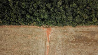 Deforestación en la frontera entre Amazonía y Cerrado, en Nova Xavantina (Brasil), el 28 de julio de 2021.