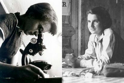 Rosalind Franklin (1920-1958) Química, también descubrió el ADN pero el Nobel no se acordó de ella

	Franklin es uno de los ejemplos más flagrantes del efecto Matilda (o la invisibilización de las mujeres en el ámbito científico). Tras graduarse en Cambridge y pasar unos años en París estudiando los rayos X y su habilidad para detectar la estructura molecular de los cristales, volvió a Inglaterra para trabajar con Maurice Wilkins en determinar la estructura del ADN. Sin embargo, fue él el que sí recibiría el reconocimiento de la academia sueca.