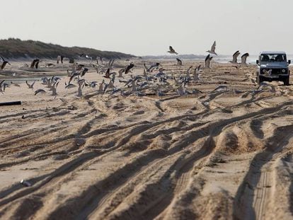 Un todoterreno por las dunas del parque nacional de Doñana.