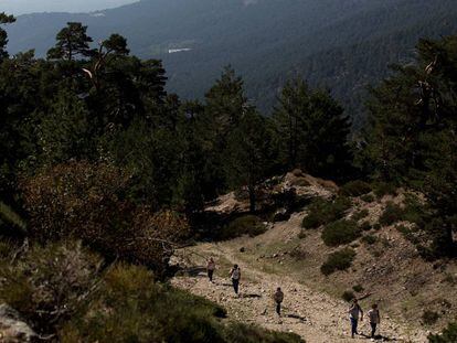 Ruta de Cercedilla al puerto de la Fuenfr&iacute;a, en la sierra de Guadarrama. 