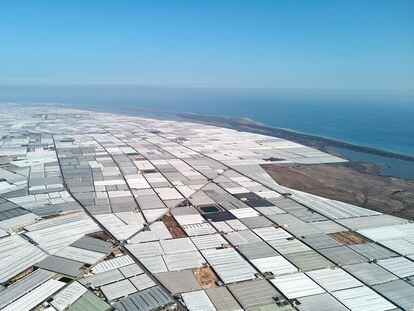 Invernaderos para cultivos de frutas y verduras junto a la costa, similares a 'un mar de plástico', en una imagen aérea de Almerimar (Almería).