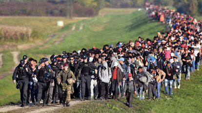 Cientos de emigrantes caminan hacia la frontera croata en Rigonce (Eslovenia).