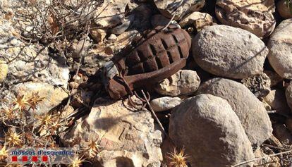 La granada de m&agrave; trobada a Morera del Montsant.