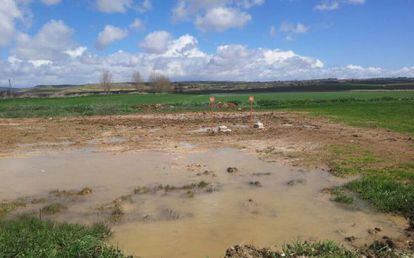 Aleda&ntilde;os de los terrenos en los que se prev&eacute; construir en almac&eacute;n de residuos at&oacute;micos de Cuenca.