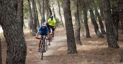 Ciclistas de montaña (mountain bike) en La Pedriza, en el Parque Nacional de la Sierra de Guadarrama, Madrid (España).