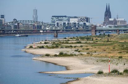 El río Rin con poca agua a su paso por Colonia, el miércoles. Los bajos niveles de agua amenazan a la industria de Alemania, ya que cada vez más barcos no pueden atravesar esta vía fluvial clave.