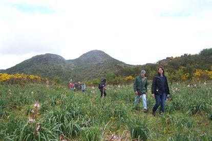 Ecologistas en el Coto de Eiras (Pontevedra), donde la Xunta acaba de autorizar un parque eólico.