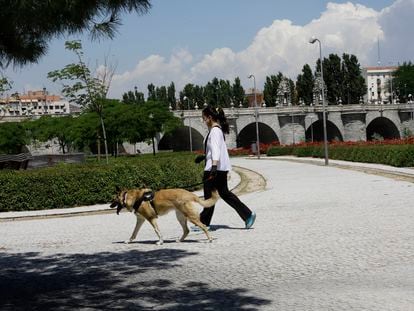 Una mujer pasea con su perro por Madrid Río, abierto en la fase 1 de la desescalada.