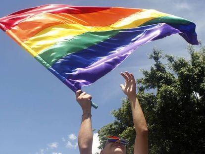 Foto tomada el pasado domingo en Medellín (Colombia) de la marcha del orgullo gay.