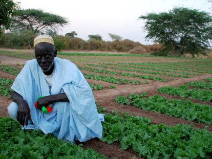 El agua llegó a la casa de Usman Ndiaye en el año 94, fue de los pocos varones que decidió quedarse en su pueblo.